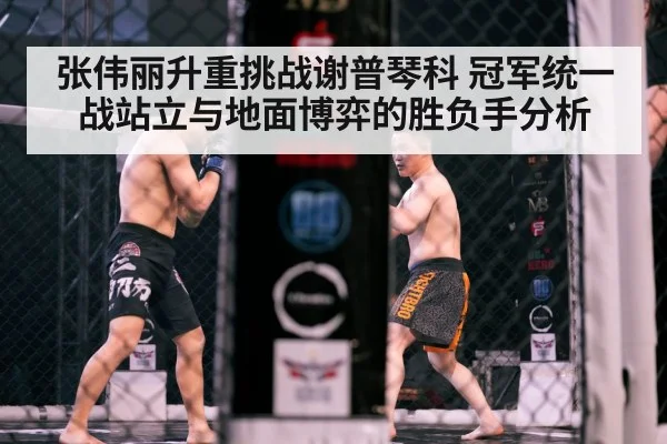 张伟丽升重挑战谢普琴科 冠军统一战站立与地面博弈的胜负手分析